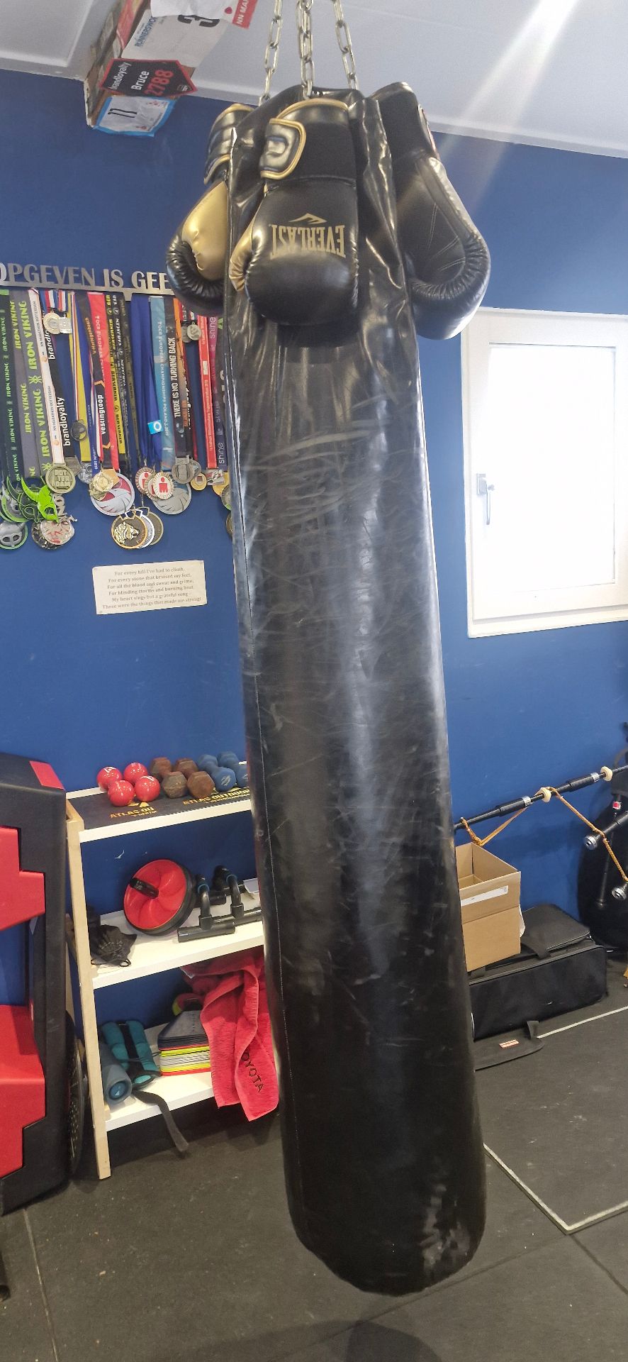 Everlast bokszak en bokshandschoenen in de Atlas Training gym met medailles