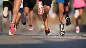 Fit de Zomer in — 12-Weken Plan van een Personal Trainer